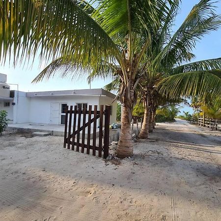 埃尔库约Casa Perla Marina, Pequena Casa Frente A La Playa.公寓 外观 照片